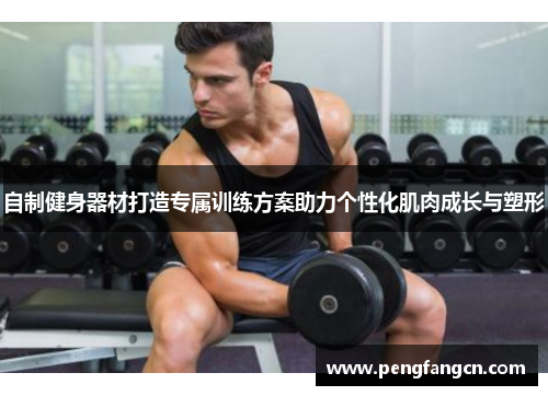 自制健身器材打造专属训练方案助力个性化肌肉成长与塑形