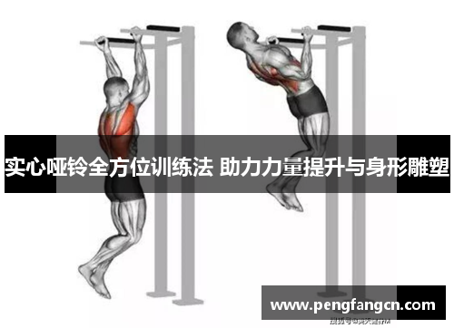实心哑铃全方位训练法 助力力量提升与身形雕塑