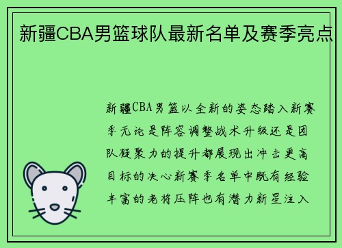 新疆CBA男篮球队最新名单及赛季亮点