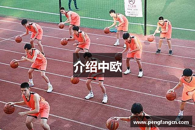 介绍中欧